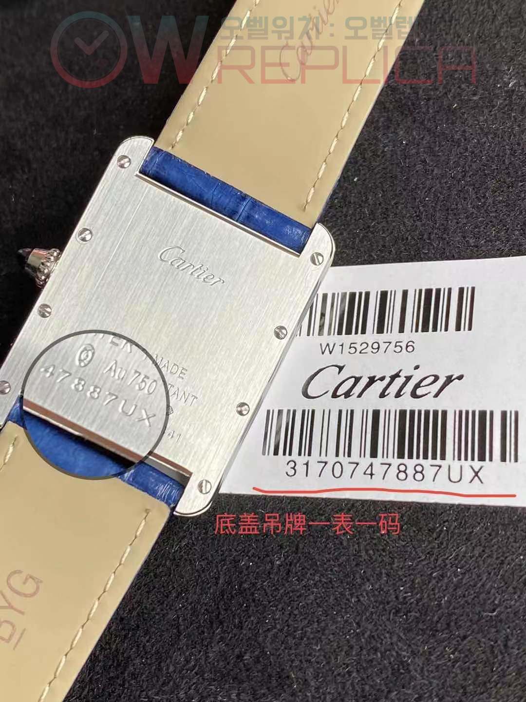 WeChat-Image_20220209190105-1.jpg